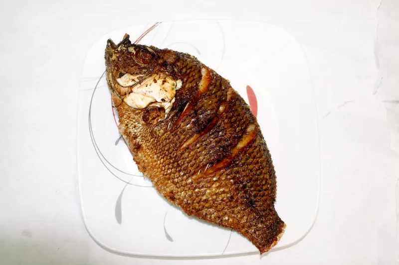 Tilapia Fish