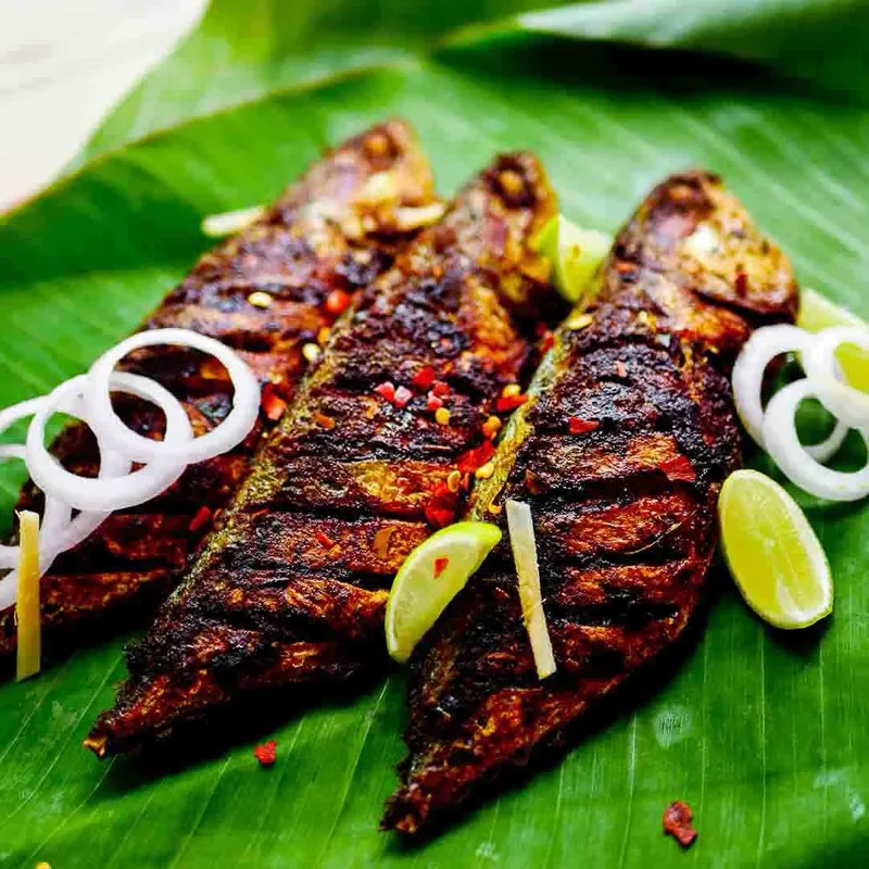 Mackerel Fry
