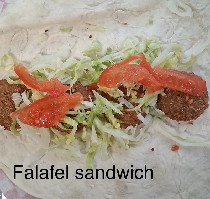 Falafel Wrap