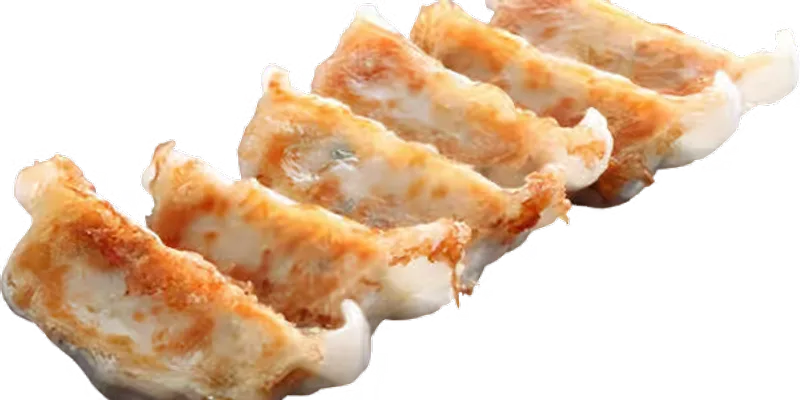 Fried Chicken Gyoza