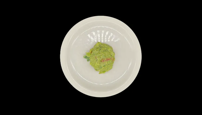 Guacamole (Scoop)