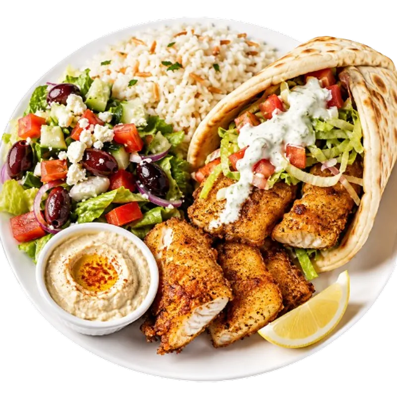 Fish Gyro Combination Platter