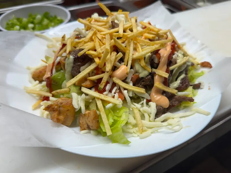 Fried Plantains Mixed (Chicken And Beef) / Patacon Mixto (Pollo Y Carne)