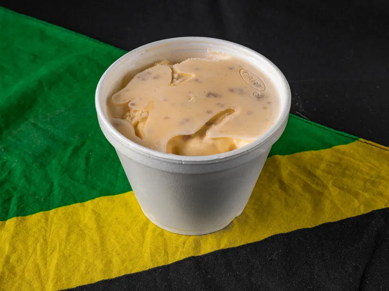 Homemade Tropical Ice Cream