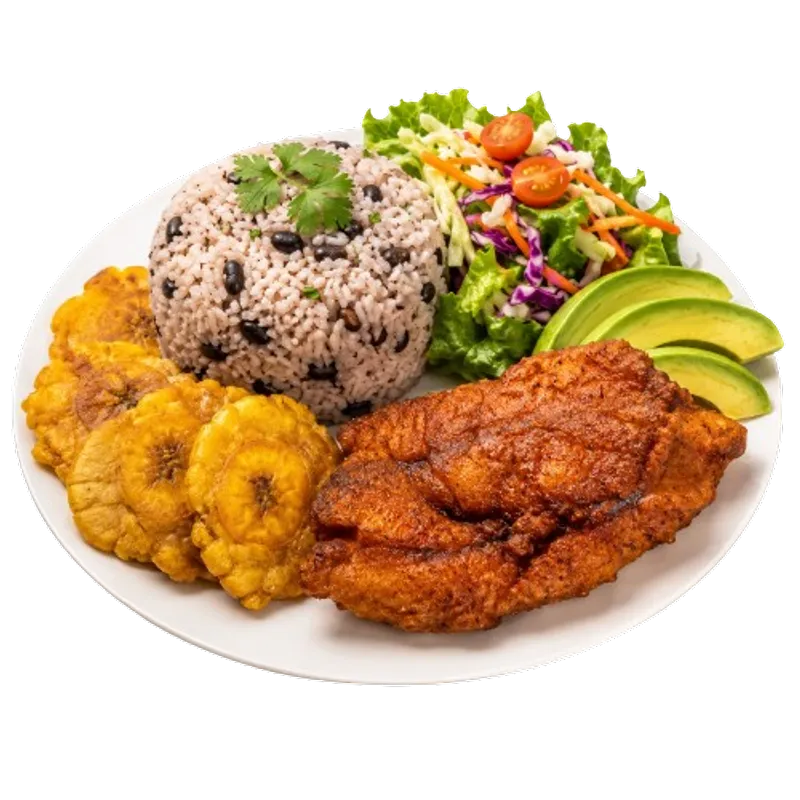 Red Snapper Plate (Plato De Pargo Rojo/Huachinango)