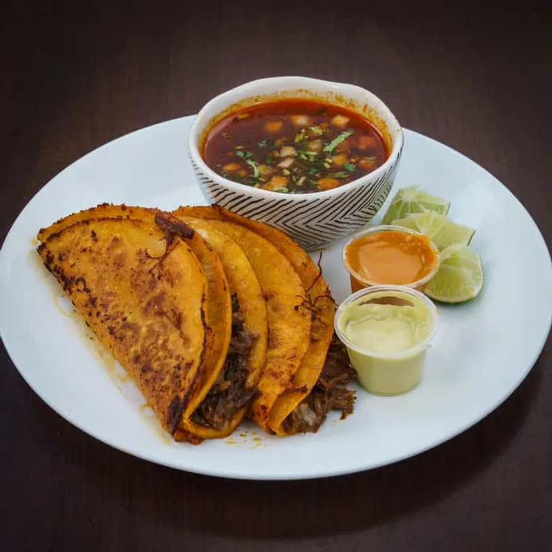 Quesabirria Taco Plate