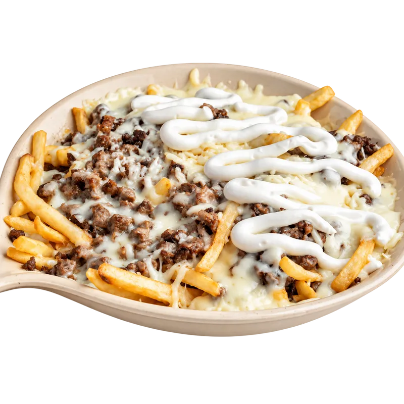 Asada Fries
