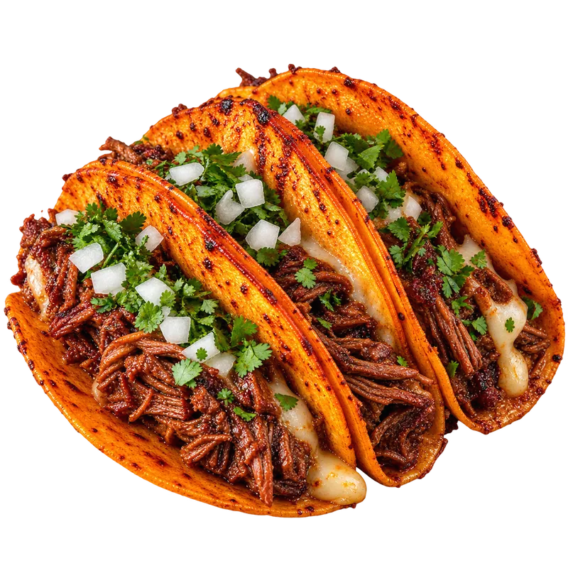 Birria Taco
