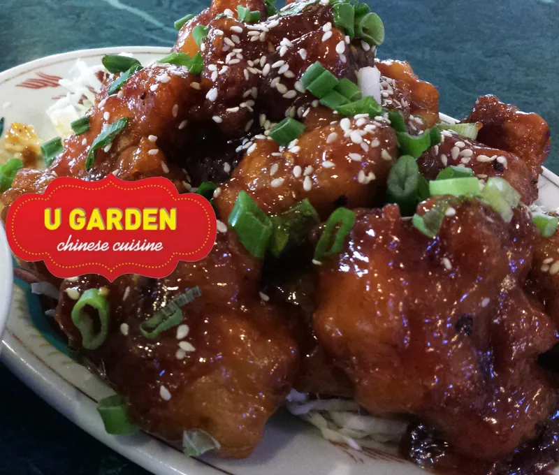 U Garden Chinese Restaurant MN