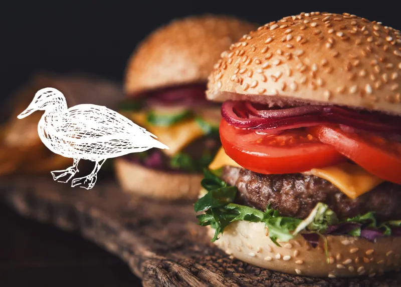 Gray Duck Tavern - Demo