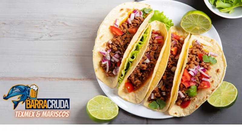 BarraCruda TexMex - Demo