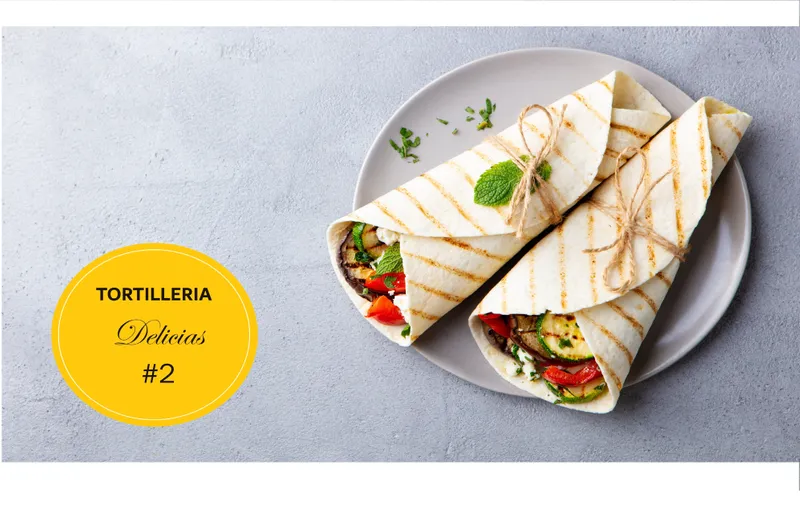 Tortilleria Delicias #2