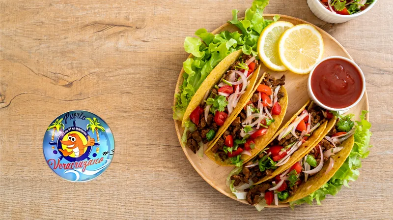 Puerto Veracruzana #3 - Demo