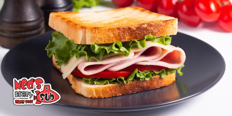 Ned's Krazy Sub - Demo