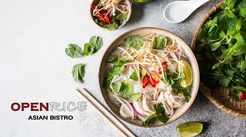 Open Rice Asian Bistro Lewisville