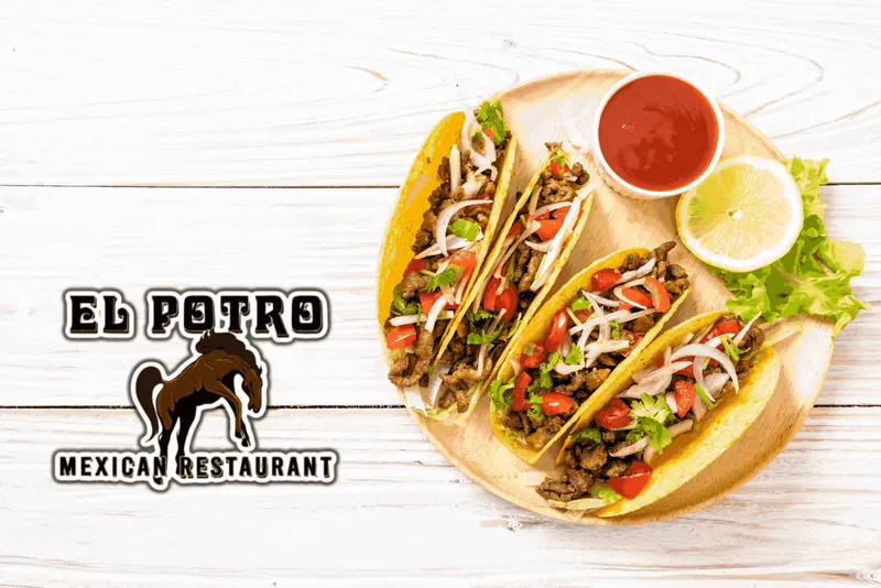 El Potro Mexican Restaurant - Demo