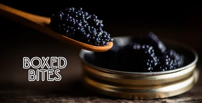 Boxed Bites - Demo