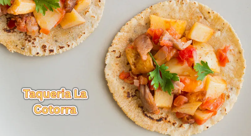 Taqueria La Cotorra - Dallas