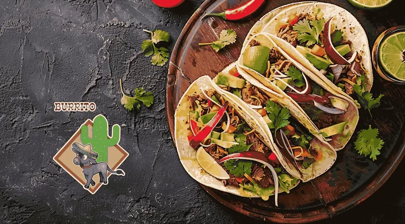 Burrito Nacho Mexican Grill - Demo