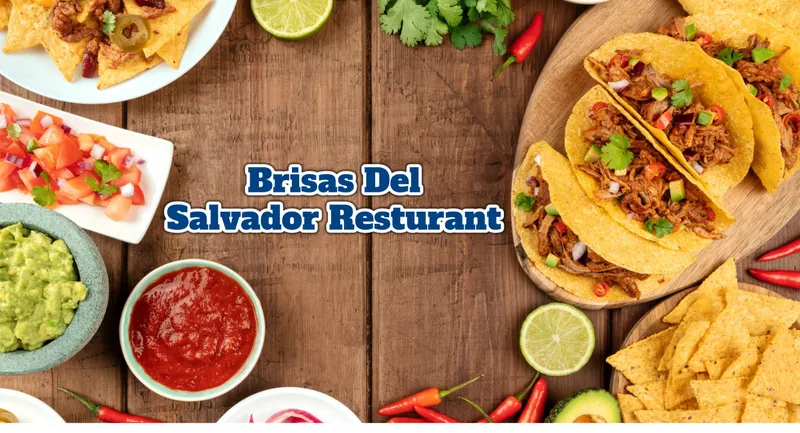 Brisas del Salvador - Demo