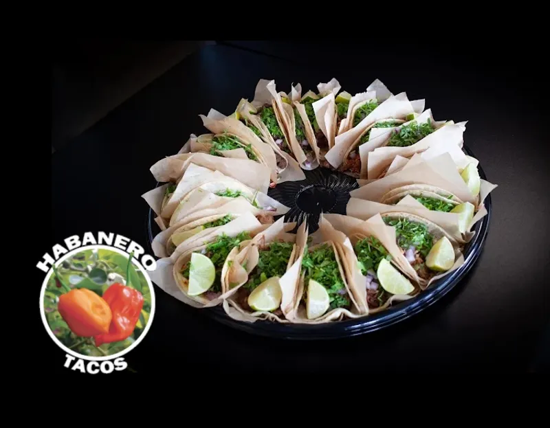 Habanero Tacos Grill & Bar - Demo