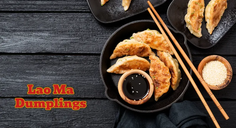 Lao  Ma Dumplings - Demo