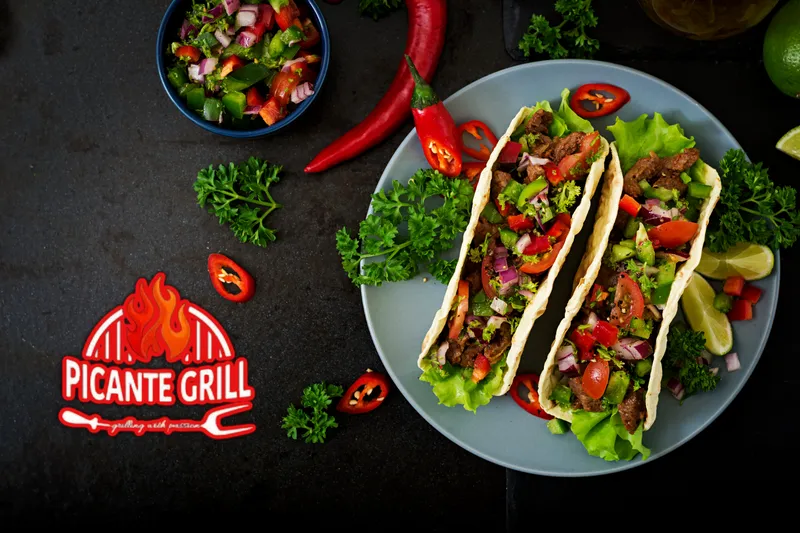 Picante Grill - Demo