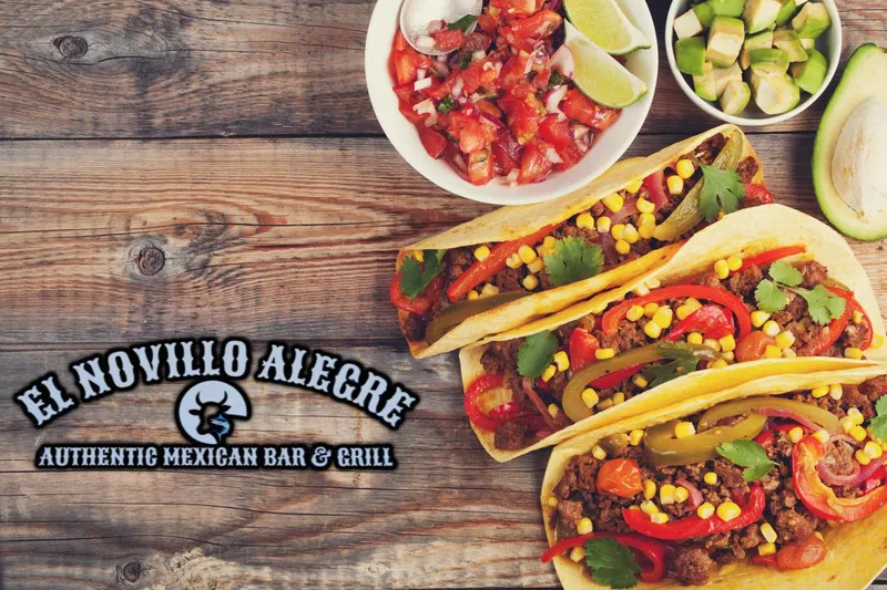 El Novillo Alegre Authentic Mexican Bar & Grill