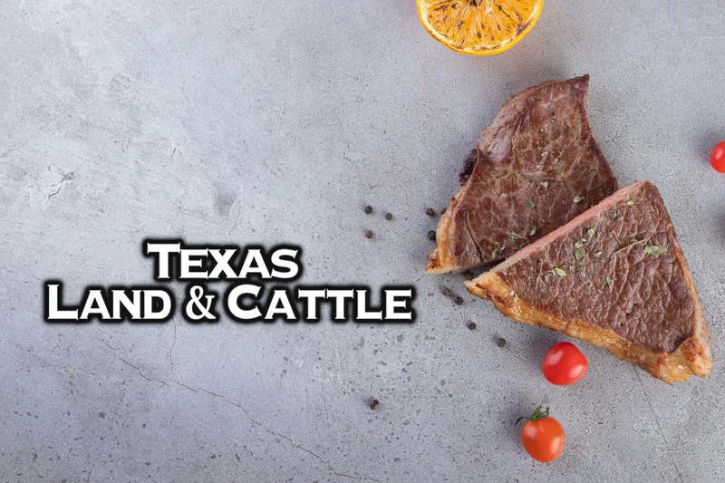 Texas Land And Cattle