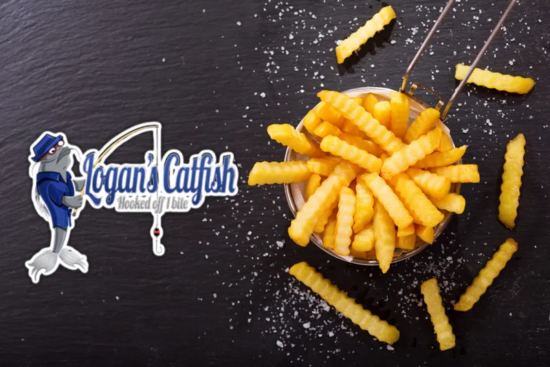 Logan's Catfish - Demo