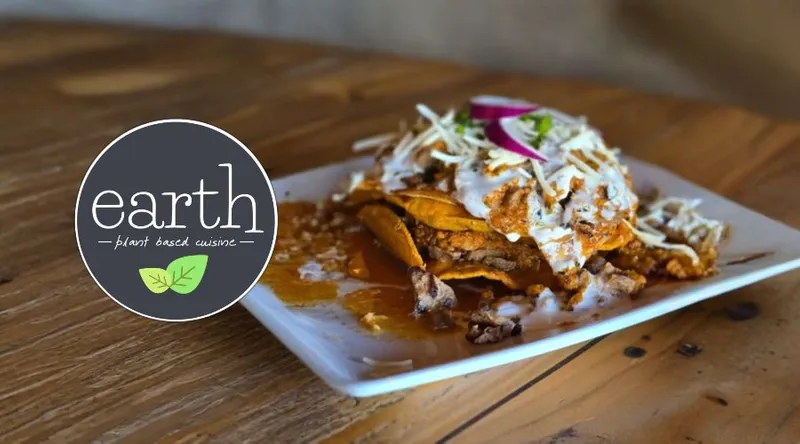 Earth Plant Based Cuisine - Demo