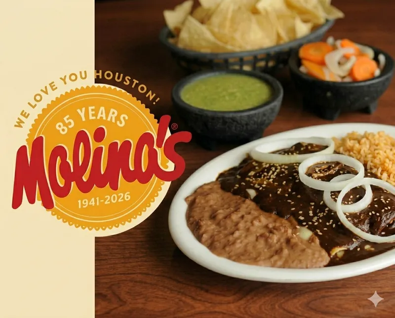 Molina's Cantina - Demo