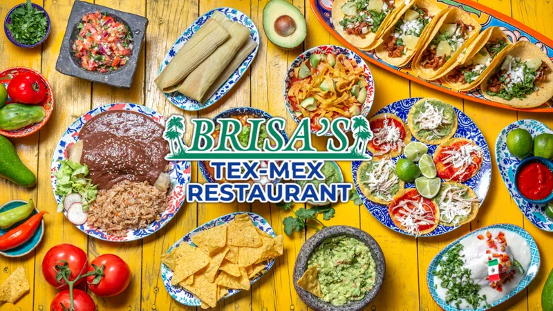 Brisa's Tex Mex Restaurant - Demo