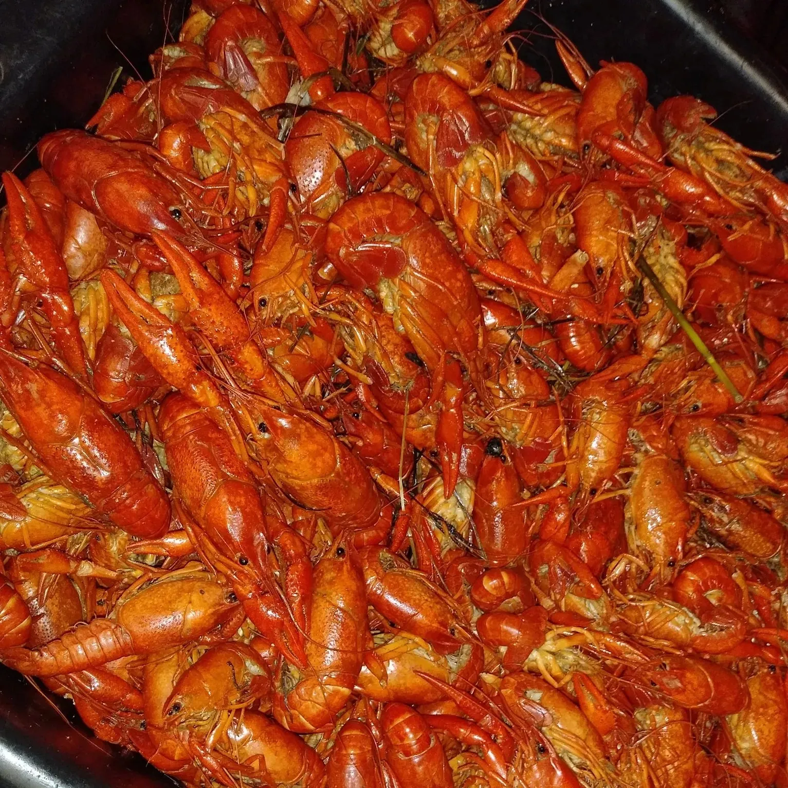 Gallery Image of food from a premium restaurant offering fast delivery.2