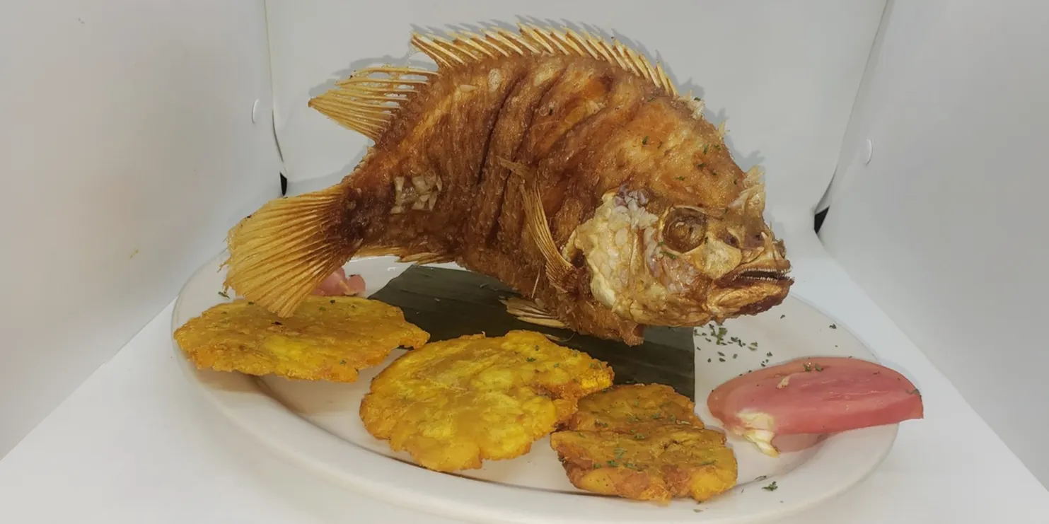 Banner Image of food offered by a reliable online food delivery restaurant.