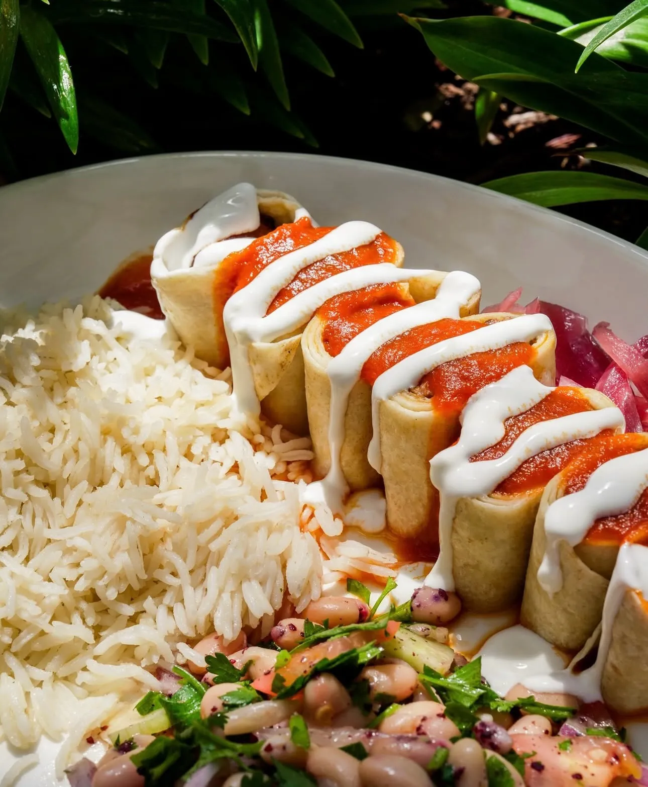 Premium Mediterranean meals - Selda Mediterranean San Antonio featured menu items.