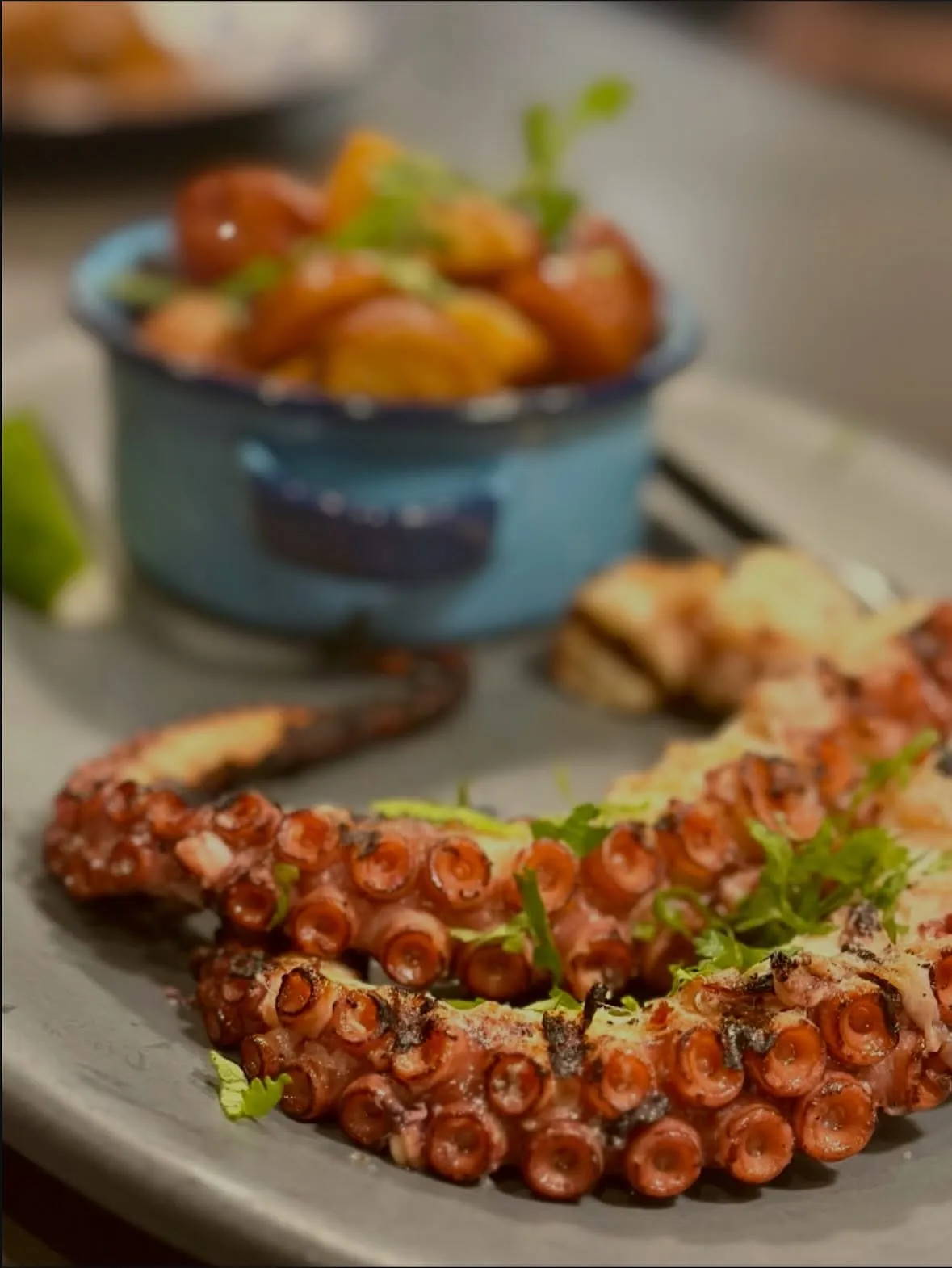 Close-up of popular Mexican favorites for Fort Worth takeaway and online orders.